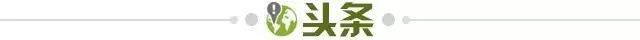 星空体育APP下载-【早报】联赛五连胜，冠军才是目标